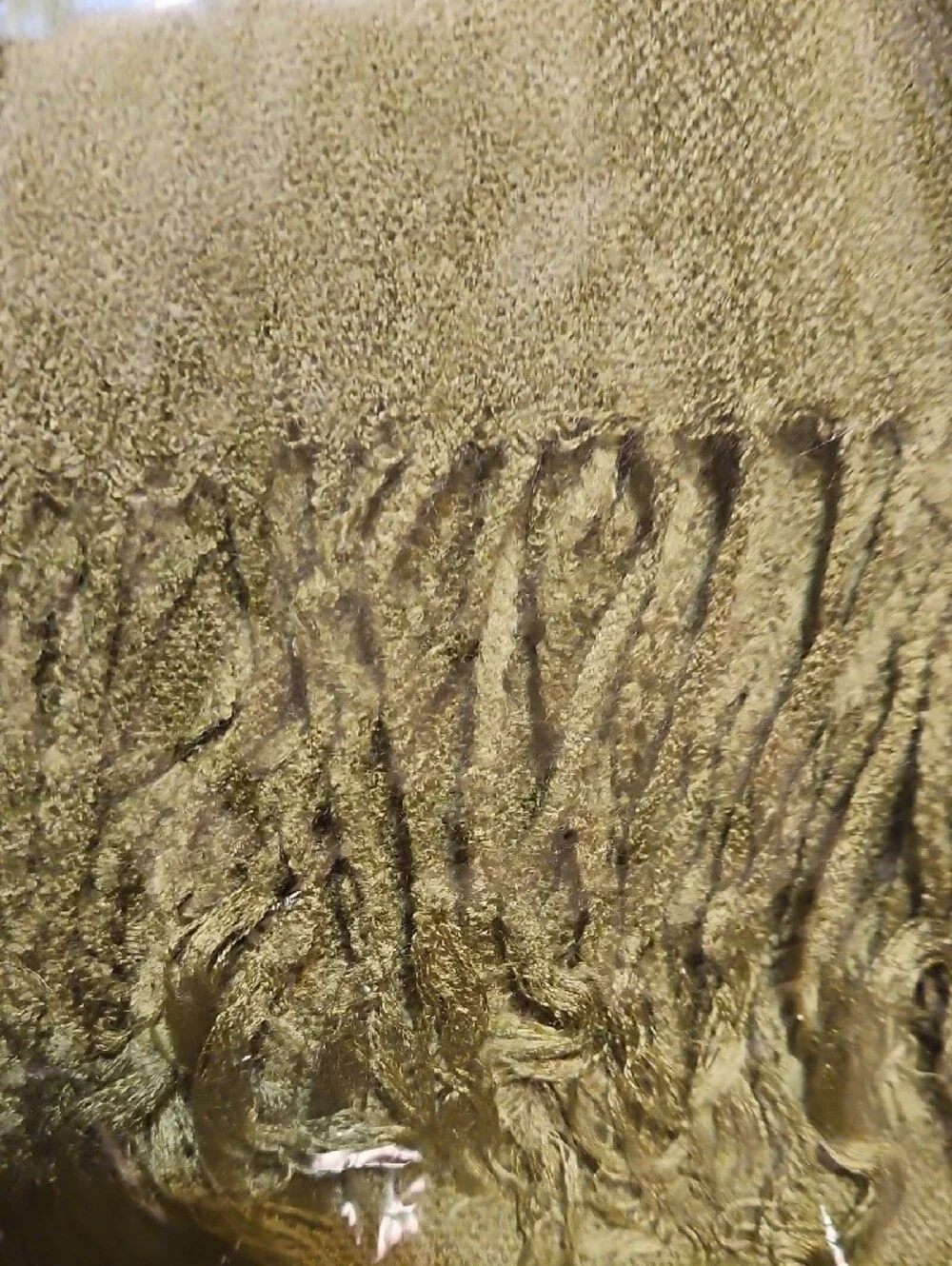 70% Cashmere/ 30% Silk Olive Pashmina Shawl Scarf Wrap